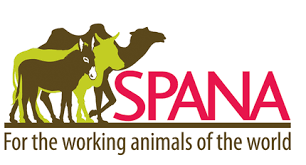 Society to protect animals abroad (SPANA)